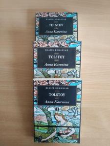 Anna Karenina 1. Cilt