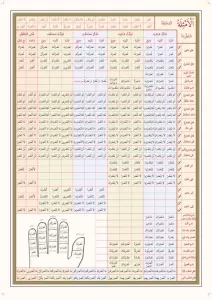 Emsile Bina Şeması Ali Kara