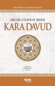 Kara Davud Delaili Hayrat Şerhi