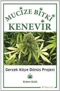 Mucizevi Bitki Kenevir Gerçek Köye Dönüş Projesi