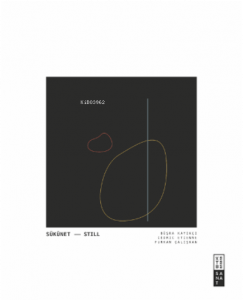 Sükûnet / Still