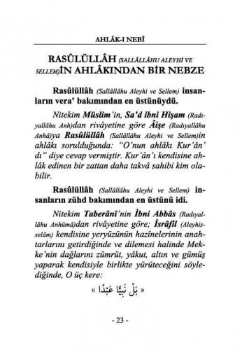 Ahlakı Nebi