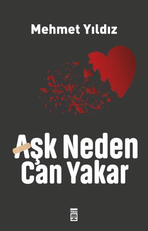 Aşk Neden Can Yakar?