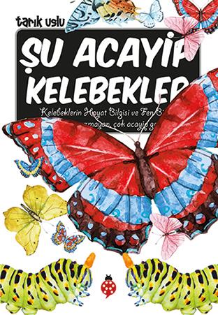 Şu Acayip Kelebekler