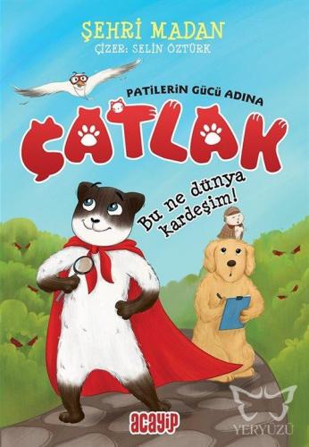 Bu Ne Dünya Kardeşim! - Çatlak