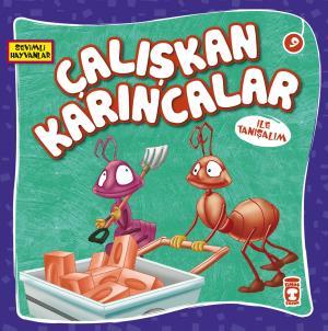 Çalışkan Karıncalar İle Tanışalım - Sevimli Hayvanlar