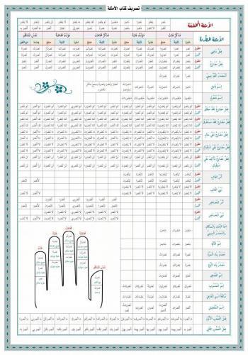 Emsile Bina Şeması