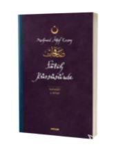 Fatih Kürsüsü'nde - Safahat 4. Kitap
