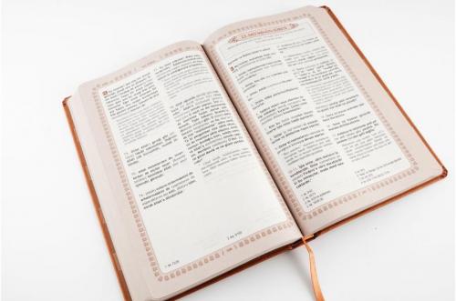 Feyzü'l Furkan Tefsirli Kuran-ı Kerim Meali (Orta Boy - Ciltli) Taba