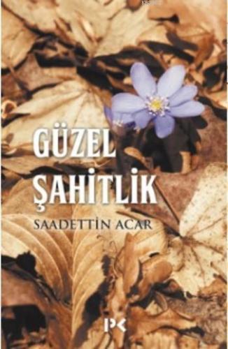 Güzel Şahitlik