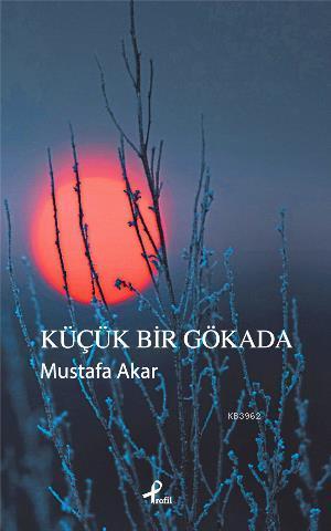 Küçük Bir Gökada