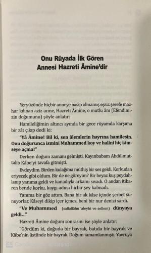 Rüyamda Rasulullahı Gördüm