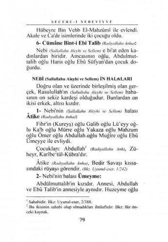 Şecerei Nebeviyye Risalesi