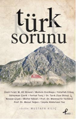 Türk Sorunu